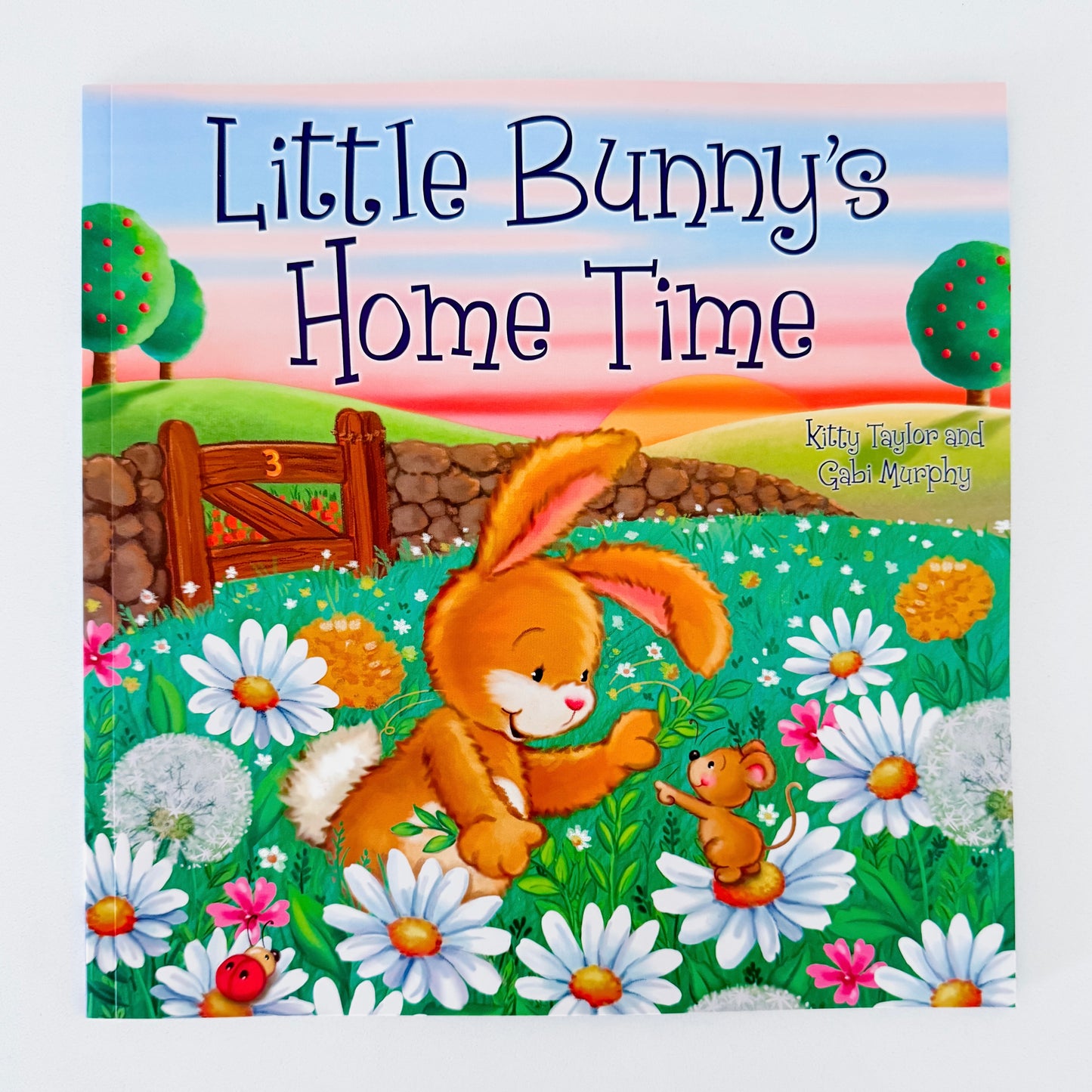Little Bunny's Home Time