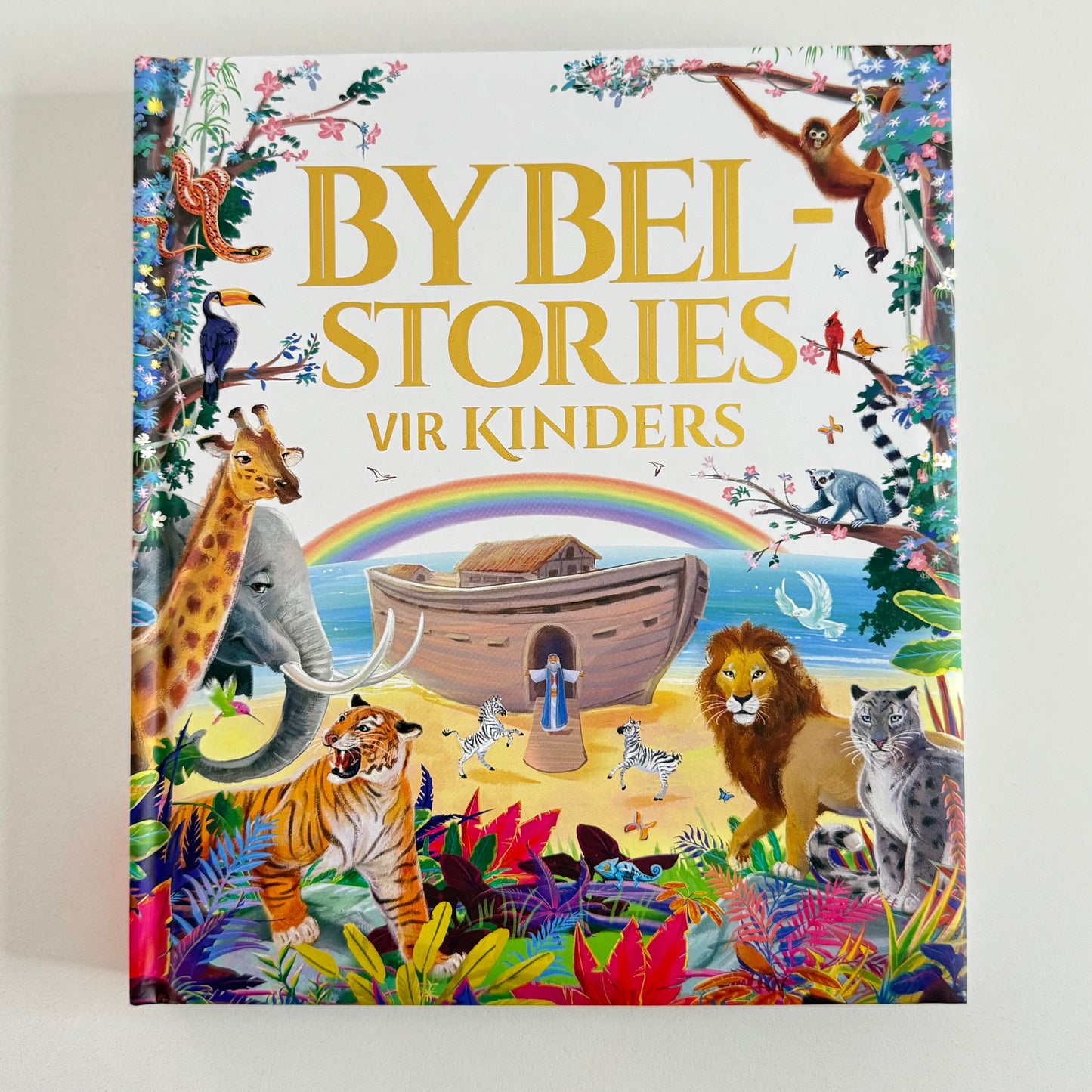 Bybel Stories vir Kinders