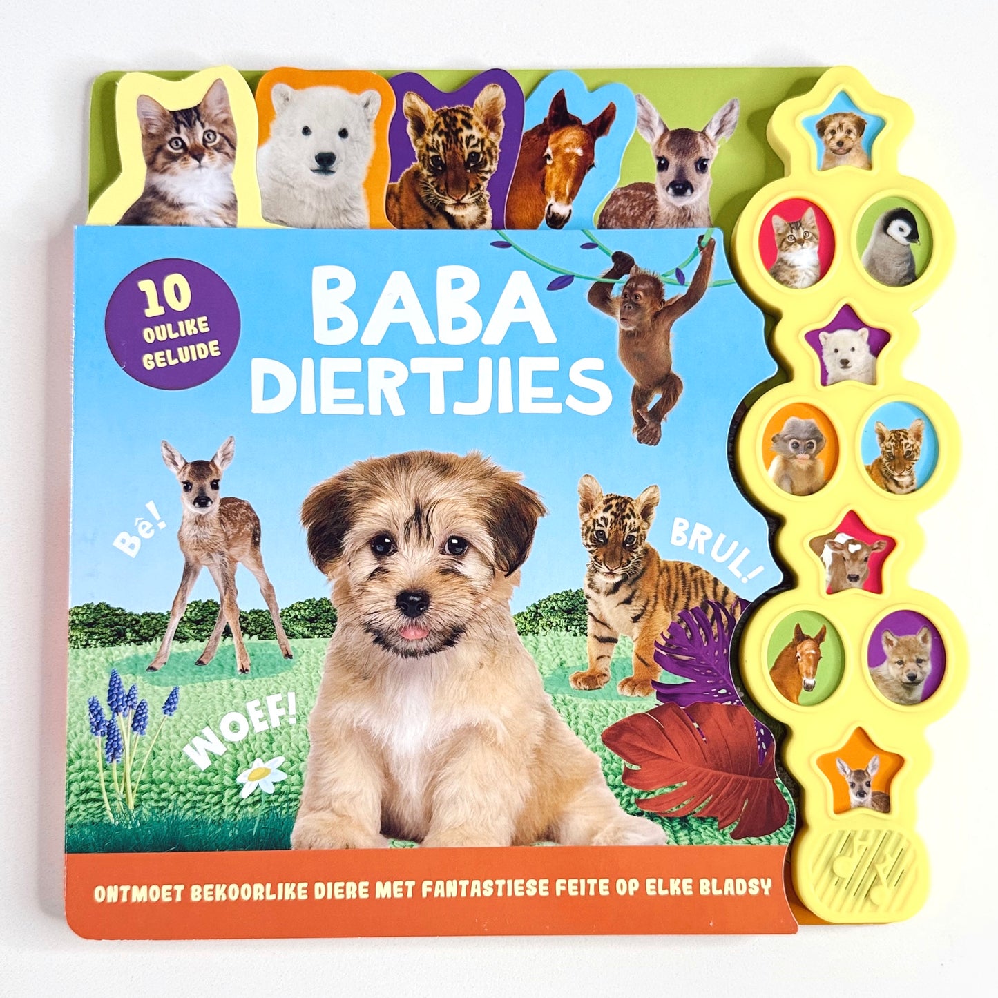 Baba Diertjies: 10 Diere Geluide