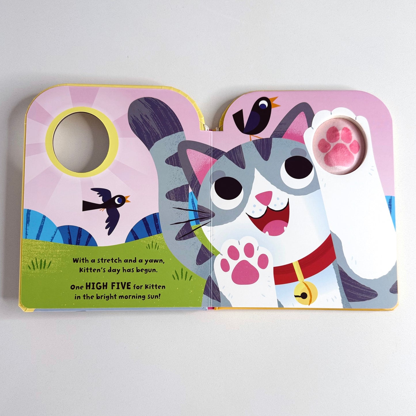 Kitten: High Five! (squeaky paw)