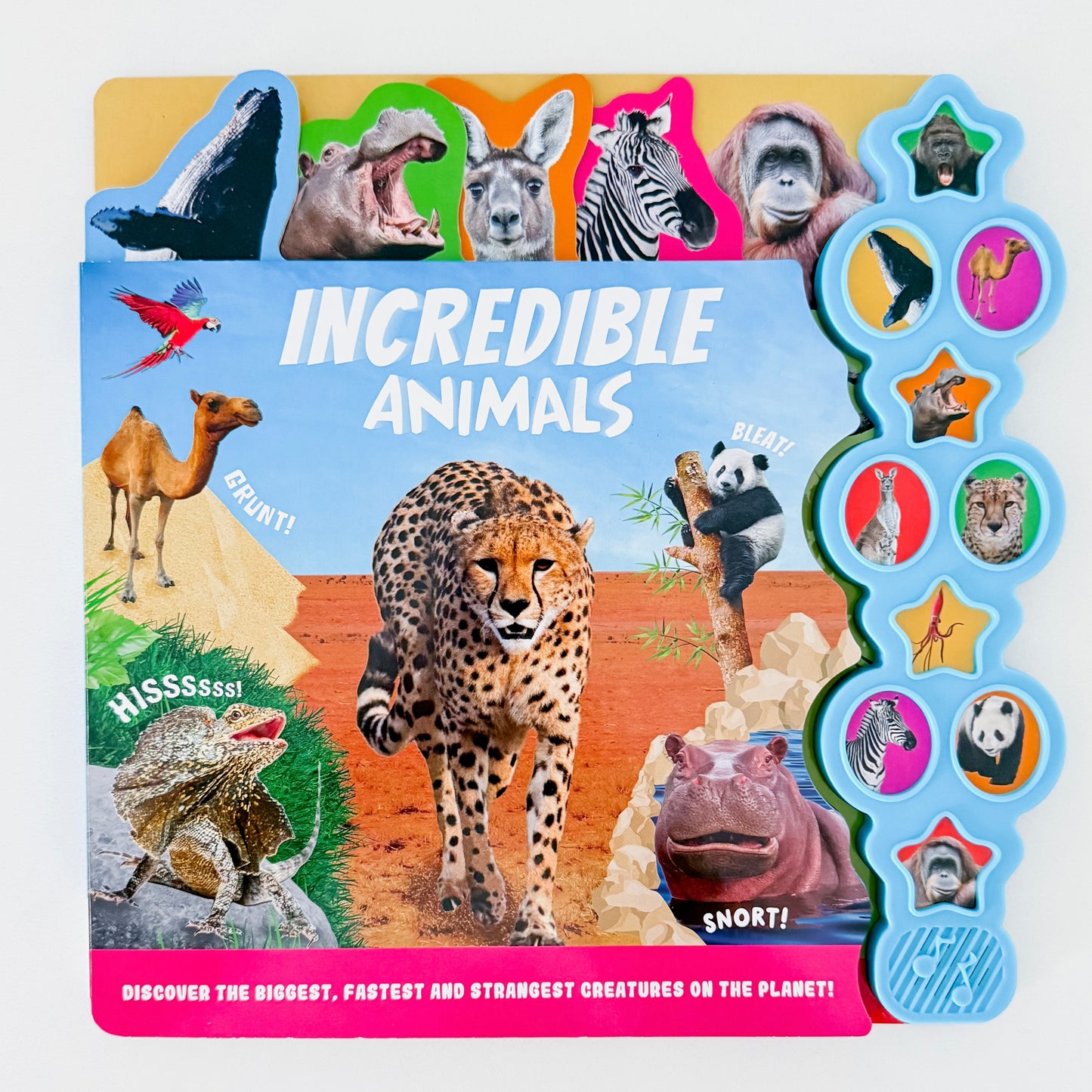 Incredible Animals - Sound Book