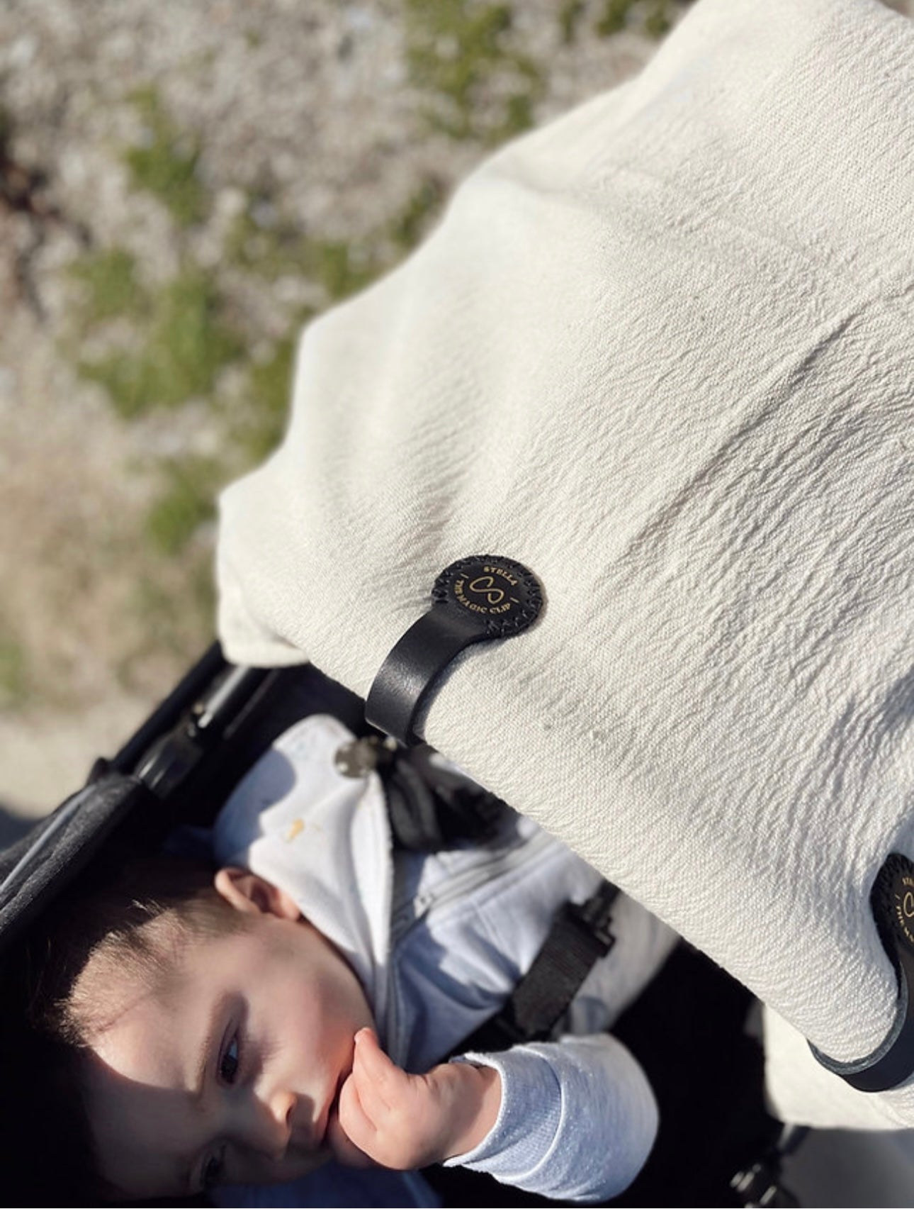 Stella Clips - Swartland Fields