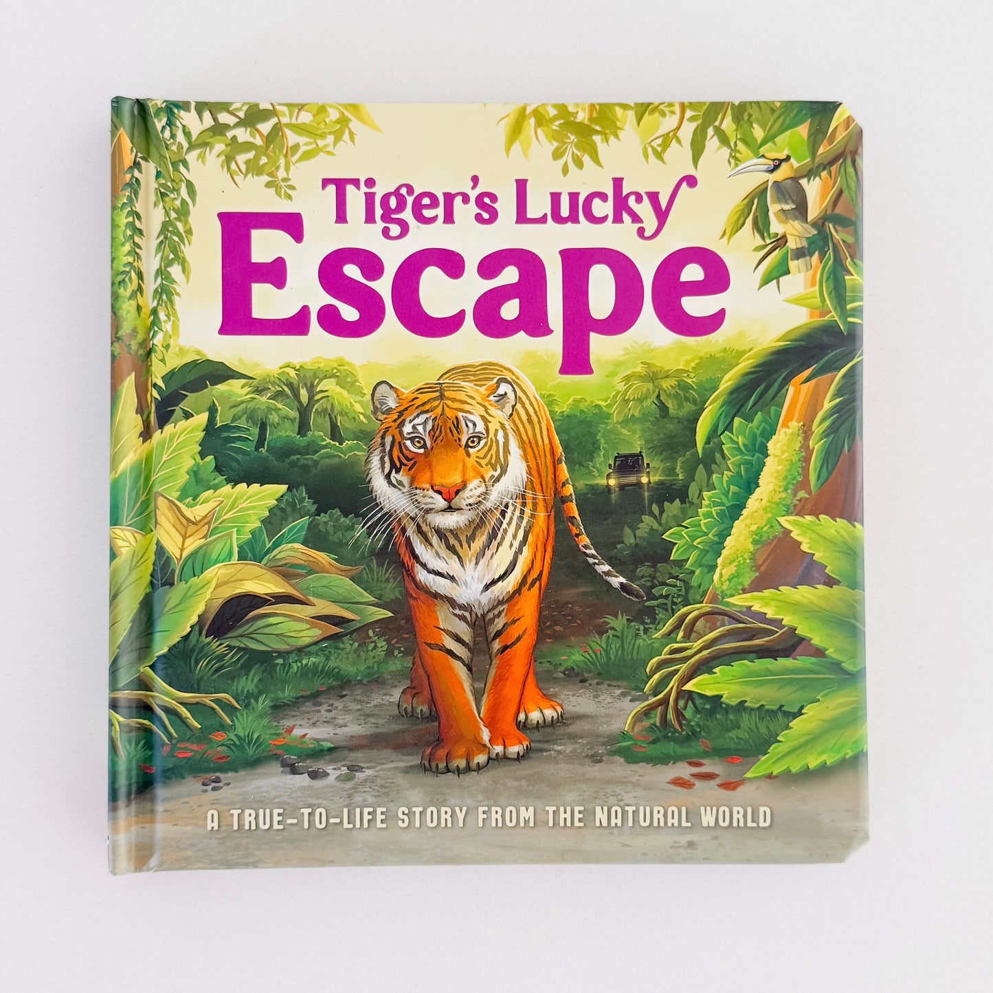 Tiger's Escape Story Book