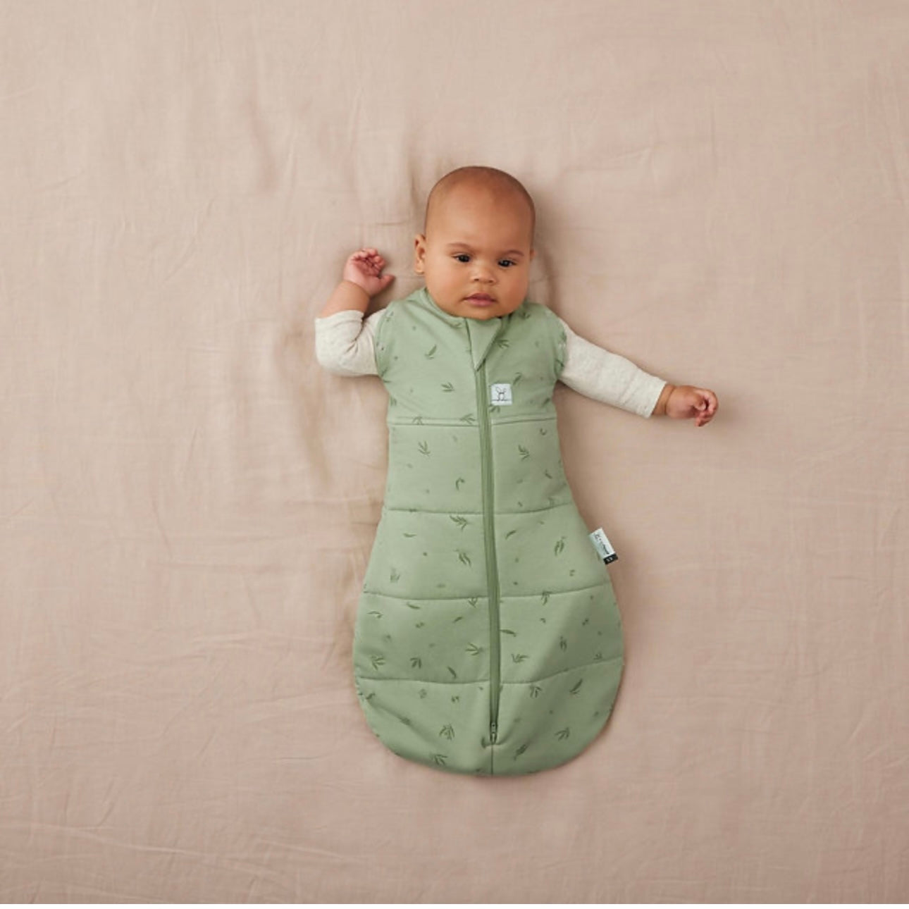 ErgoPouch Cocoon Swaddle Bag 2.5 Tog