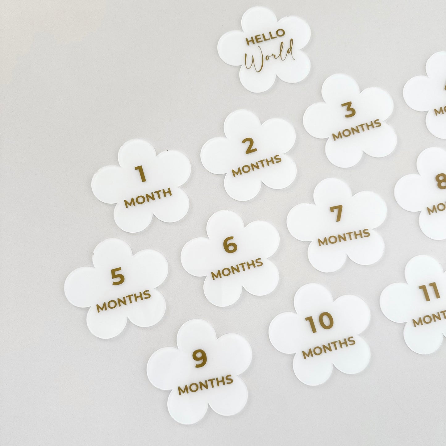Milestone Set: Daisies