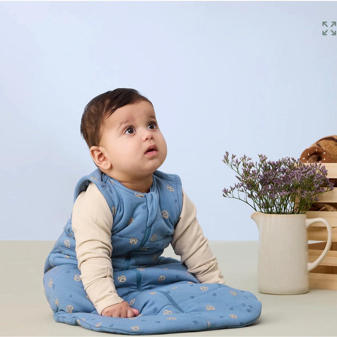 Ergopouch Sleeping Bag 2.5 TOG Petit Pretzel