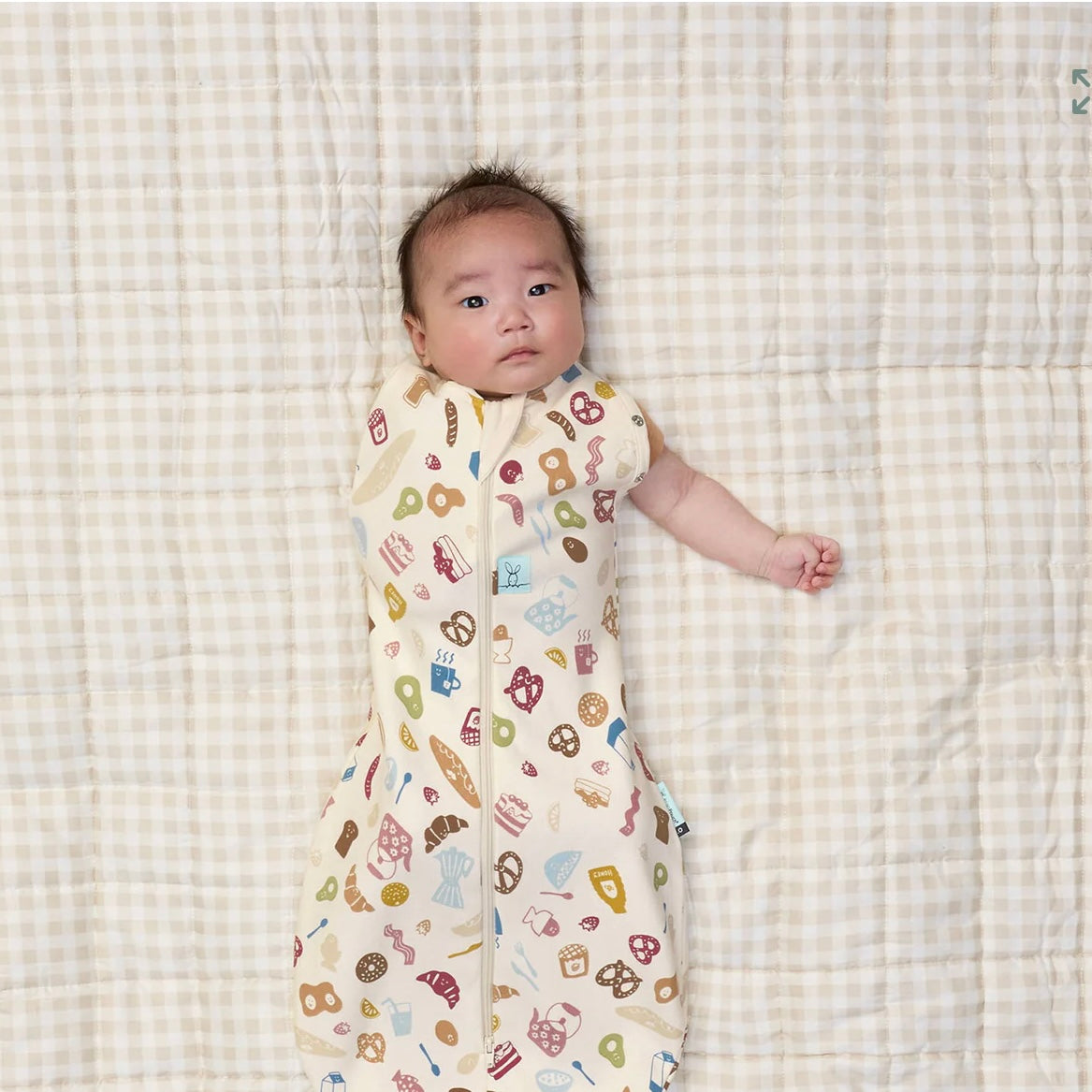 Ergopouch Cocoon Swaddle Bag Bon Appetit