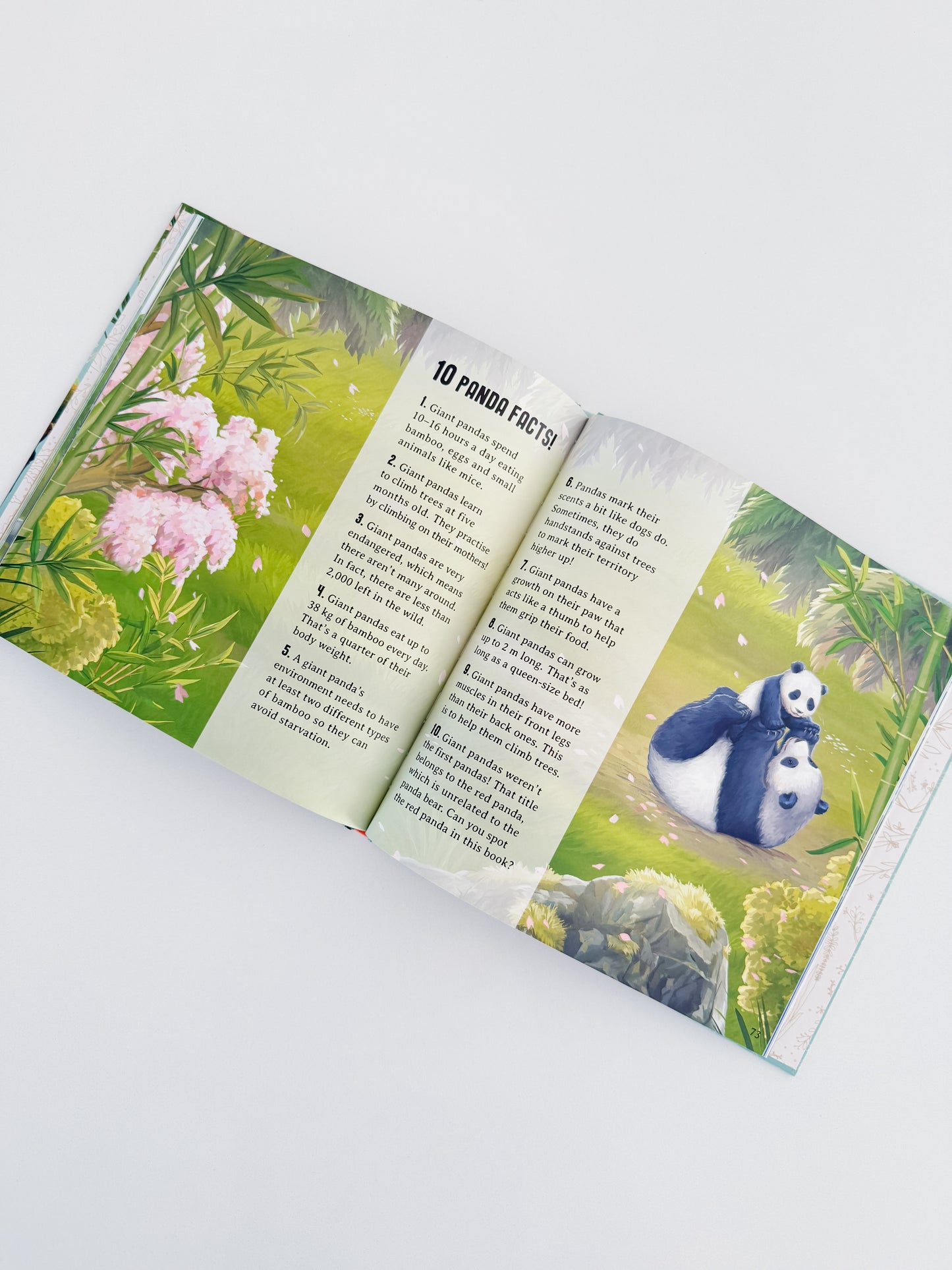 Stories From The Wild