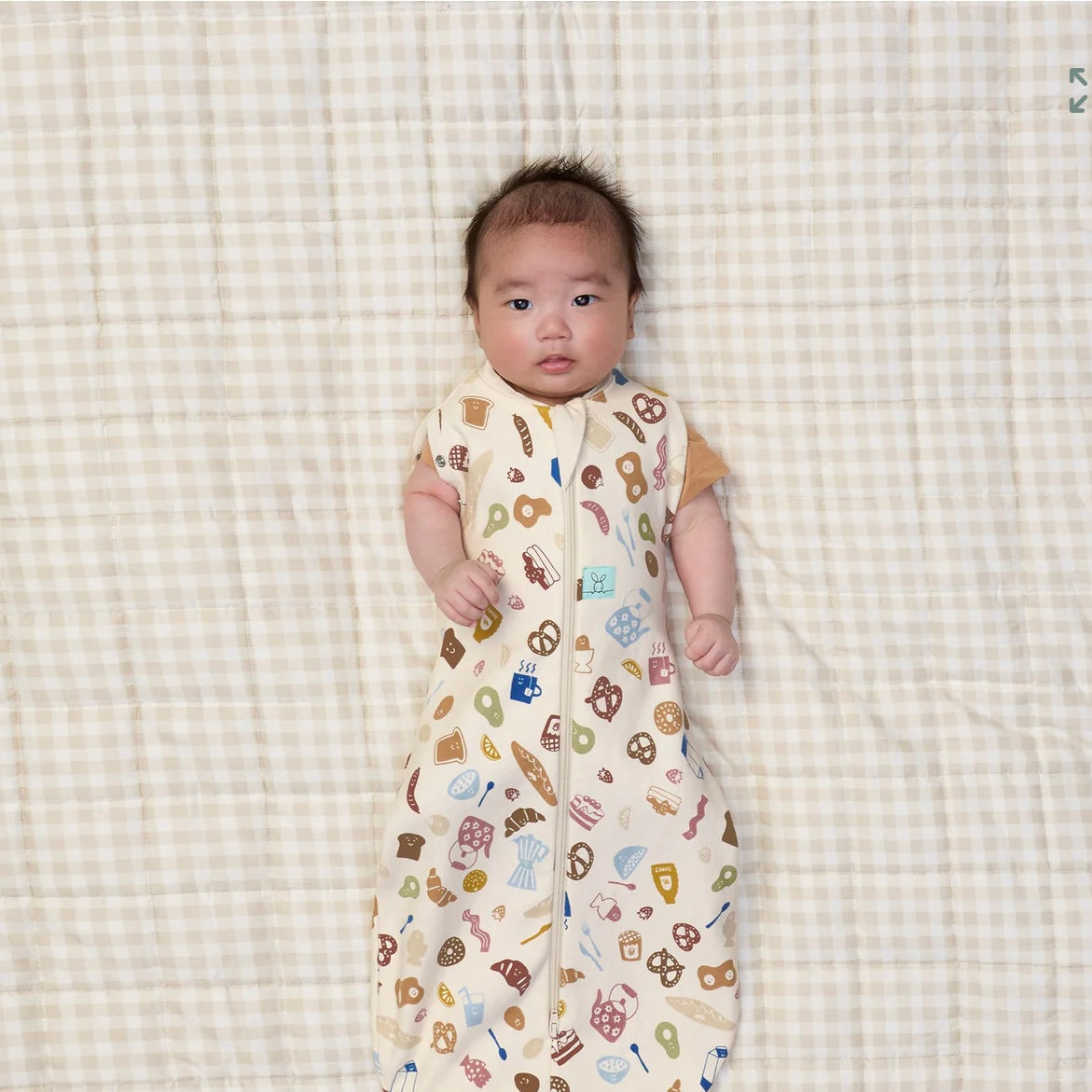 Ergopouch Cocoon Swaddle Bag Bon Appetit