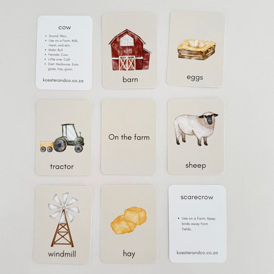 Educational Flash Cards