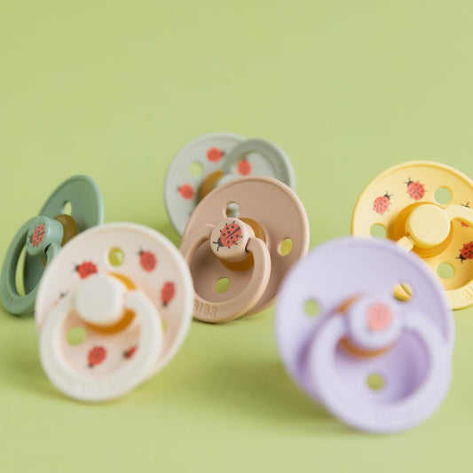 BIBS Studio Collection: Limited Edition