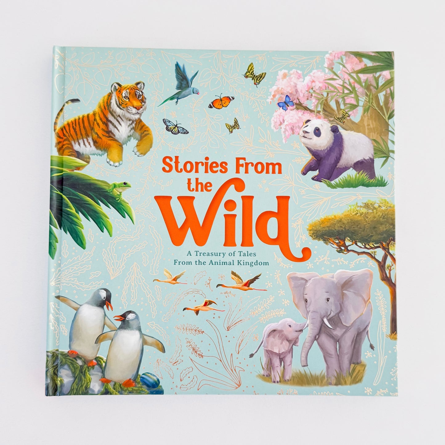 Stories From The Wild