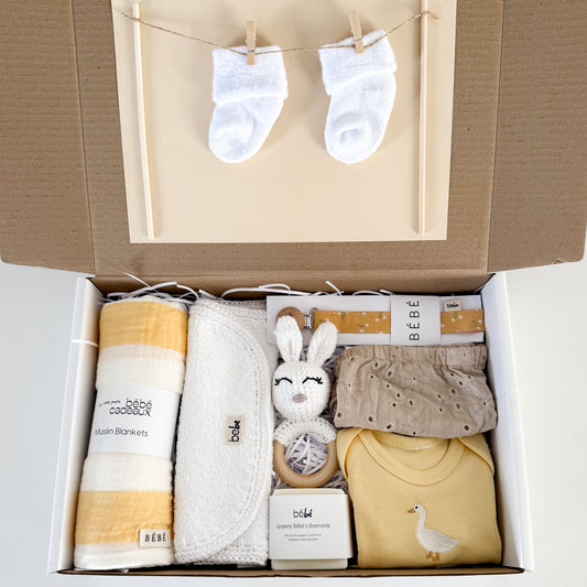 Little Goose Gift Box