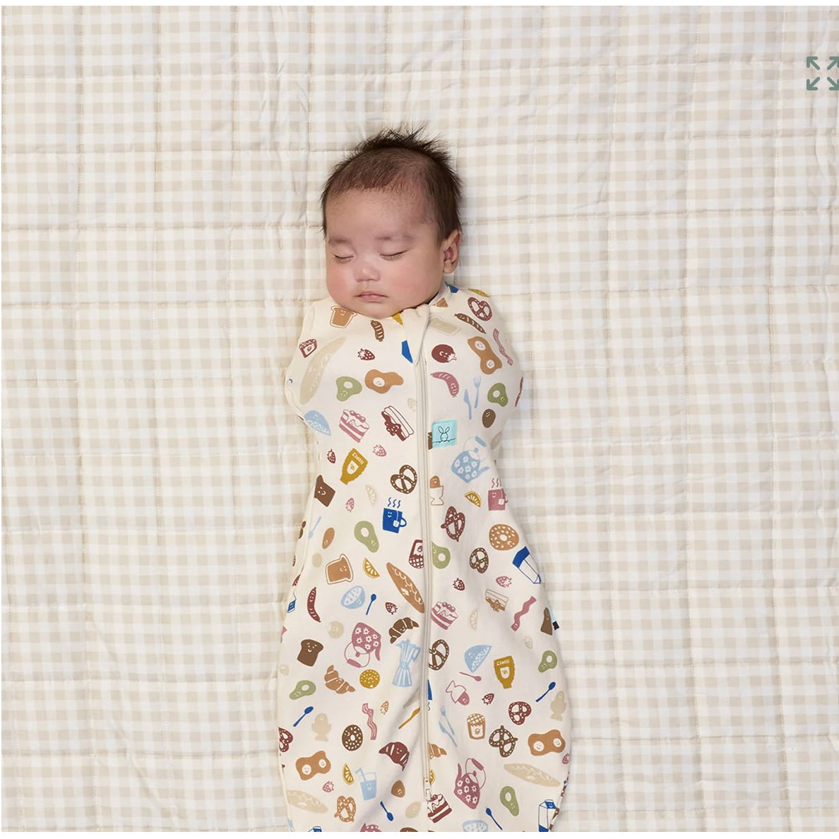Ergopouch Cocoon Swaddle Bag Bon Appetit