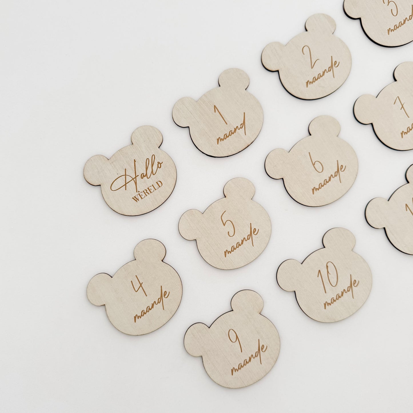 1st Year Milestone Set: Bears
